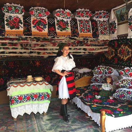 Pensiunea Maramures Ocna Şugatag エクステリア 写真