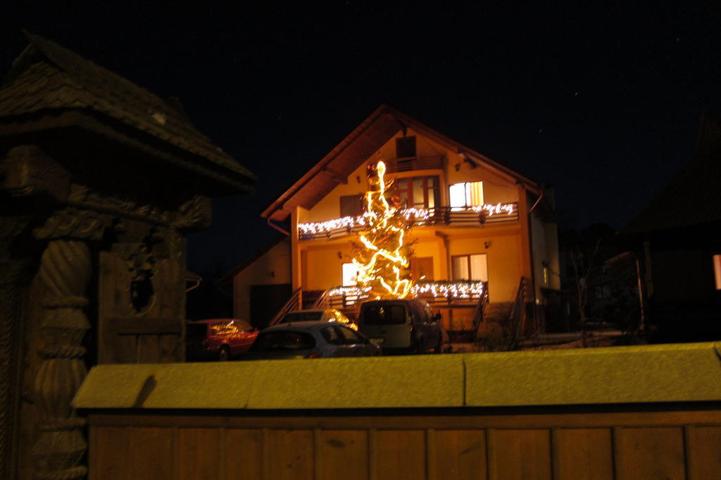 Pensiunea Maramures Ocna Şugatag エクステリア 写真