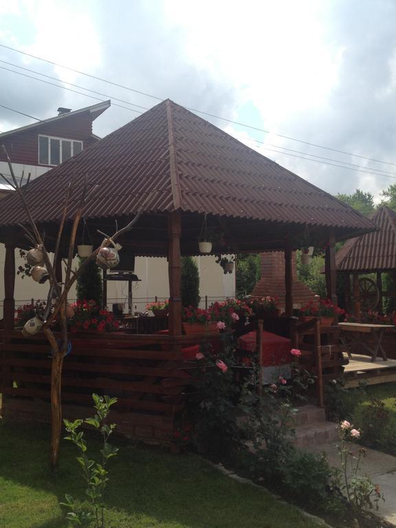 Pensiunea Maramures Ocna Şugatag エクステリア 写真