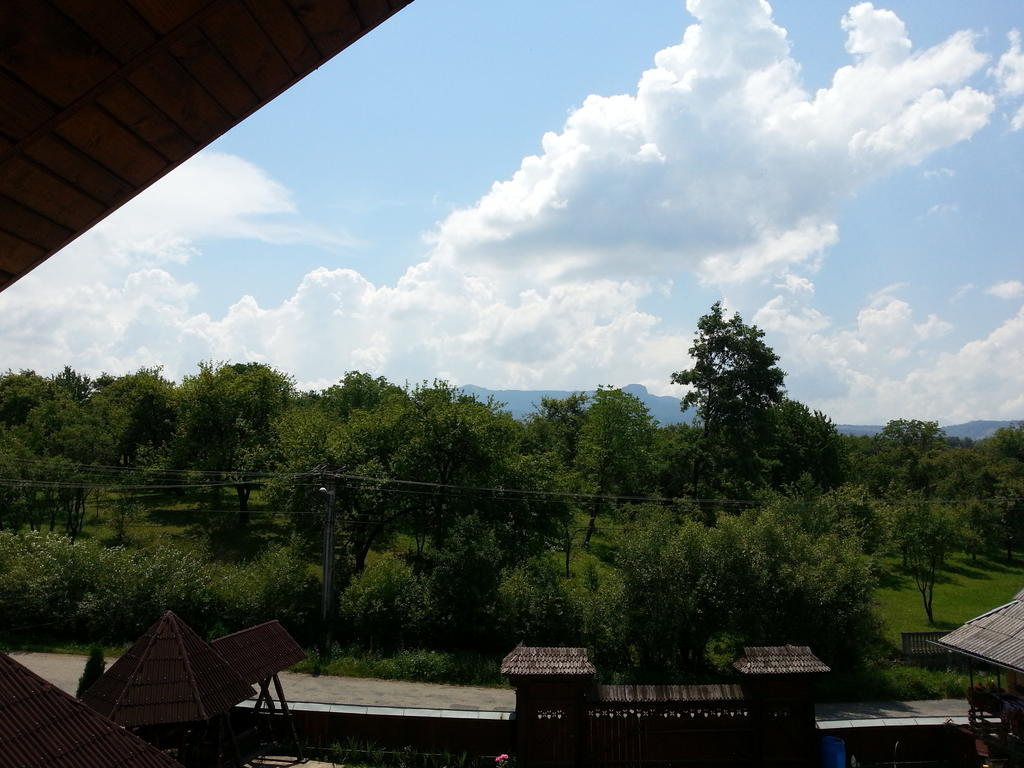 Pensiunea Maramures Ocna Şugatag エクステリア 写真