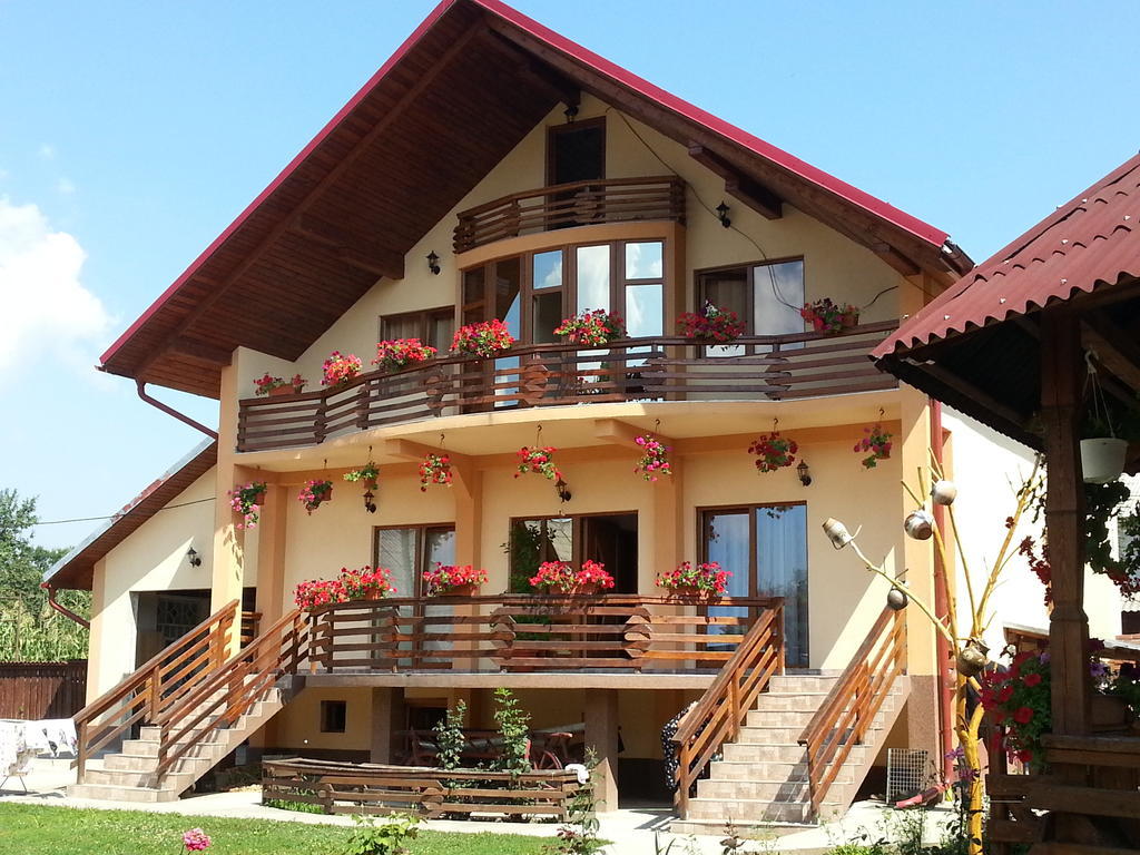 Pensiunea Maramures Ocna Şugatag エクステリア 写真