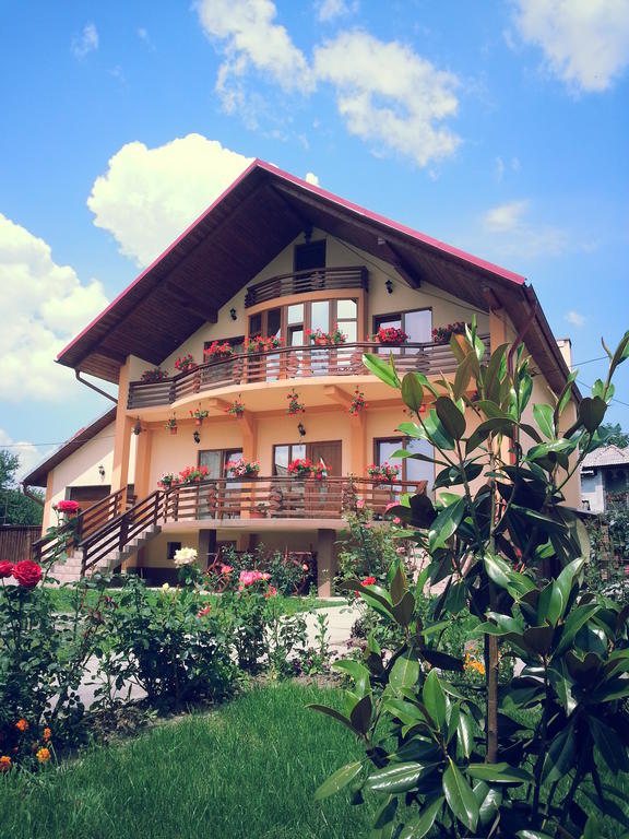 Pensiunea Maramures Ocna Şugatag エクステリア 写真