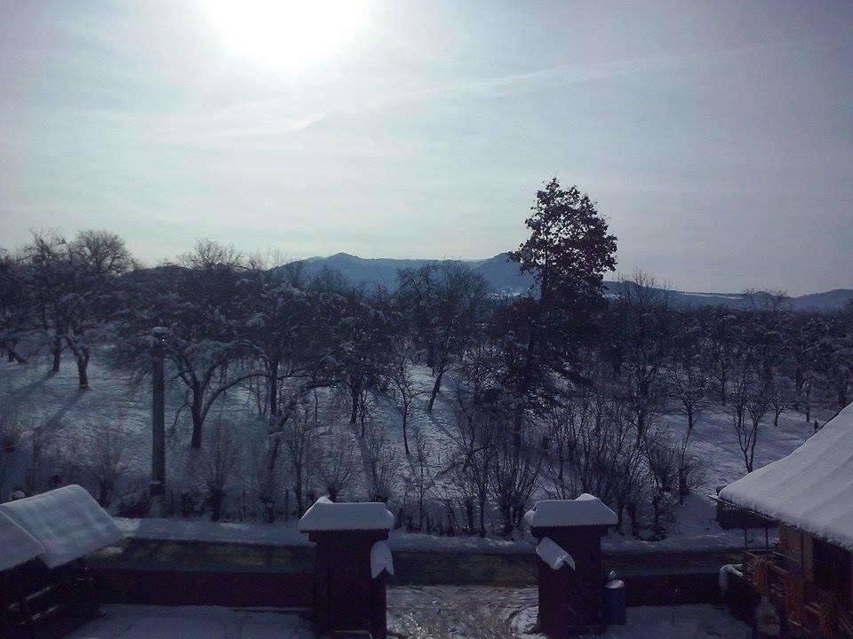 Pensiunea Maramures Ocna Şugatag エクステリア 写真