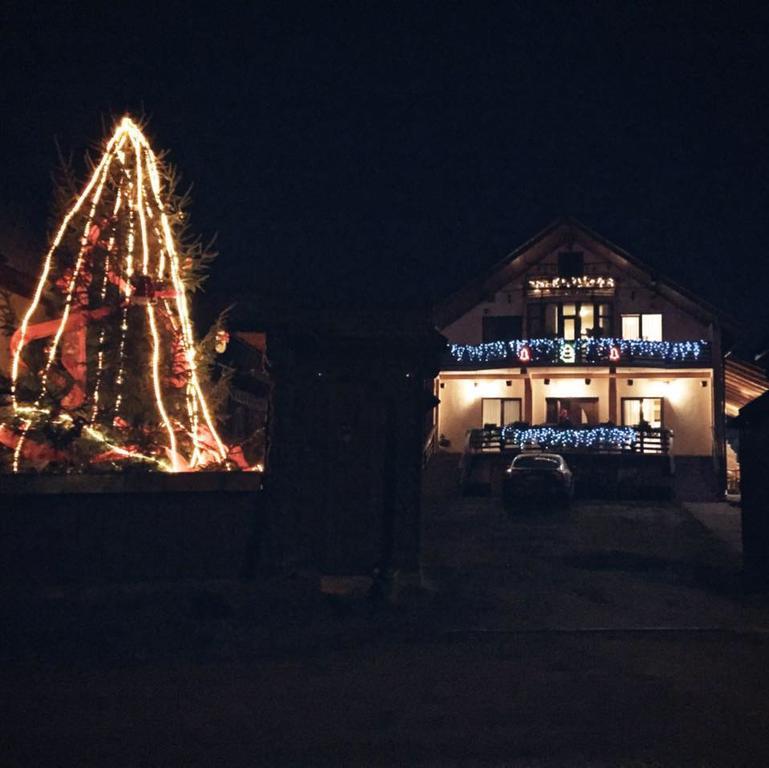 Pensiunea Maramures Ocna Şugatag エクステリア 写真
