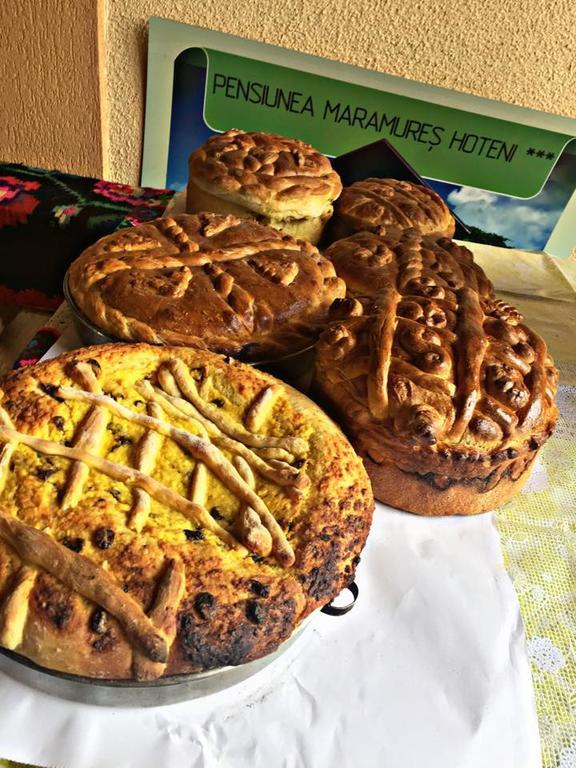 Pensiunea Maramures Ocna Şugatag エクステリア 写真