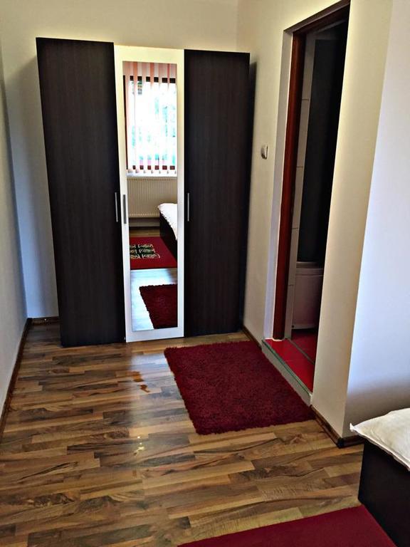 Pensiunea Maramures Ocna Şugatag エクステリア 写真