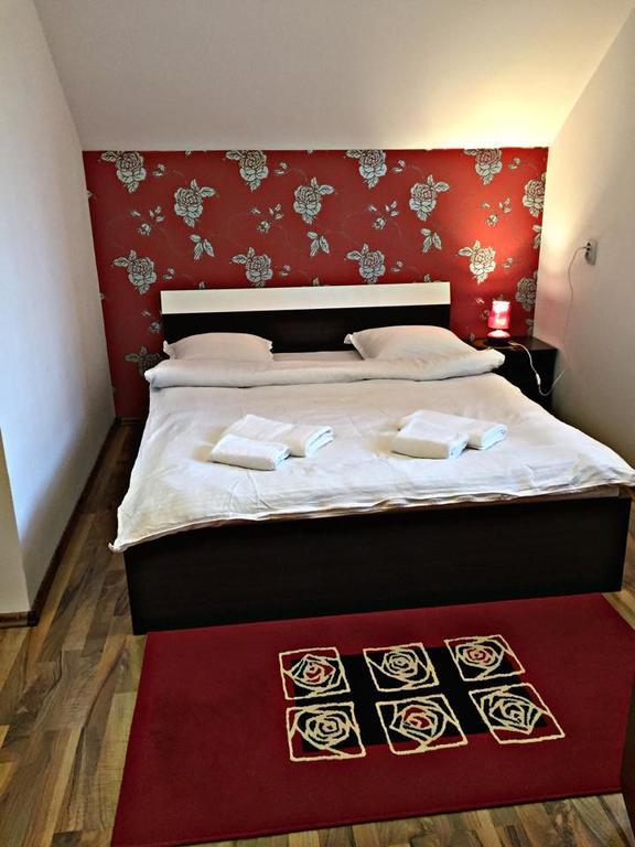 Pensiunea Maramures Ocna Şugatag エクステリア 写真