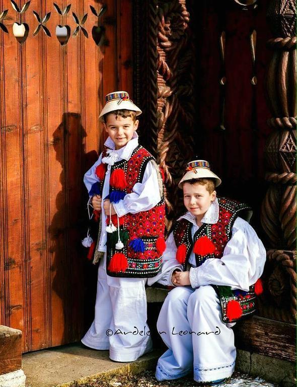 Pensiunea Maramures Ocna Şugatag エクステリア 写真