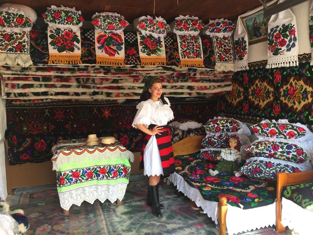 Pensiunea Maramures Ocna Şugatag エクステリア 写真