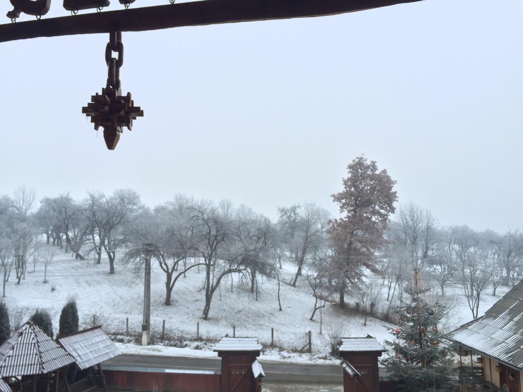 Pensiunea Maramures Ocna Şugatag エクステリア 写真
